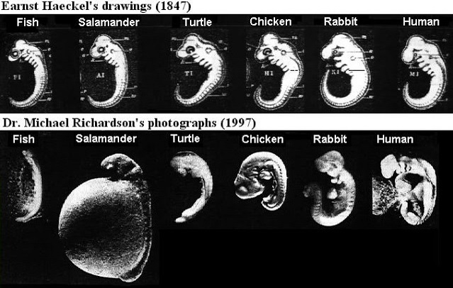 اضغط على الصورة لعرض أكبر.   الإسم:	image.png  مشاهدات:	0  الحجم:	284.4 كيلوبايت  الهوية:	837724